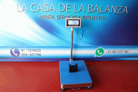 Balanza Digital de Plataforma T-Scale Inoxidable de 500 kg en Lima